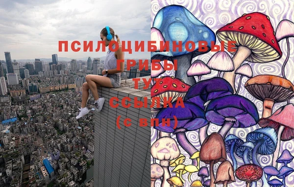 СК Зеленокумск