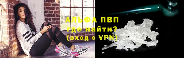СК Зеленокумск