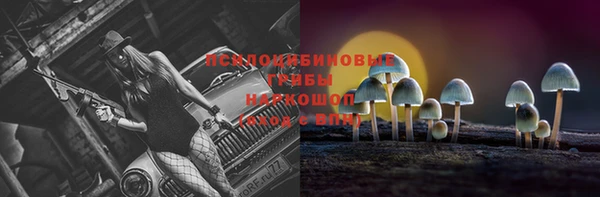 СК Зеленокумск