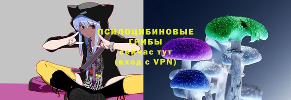 гашик Зерноград