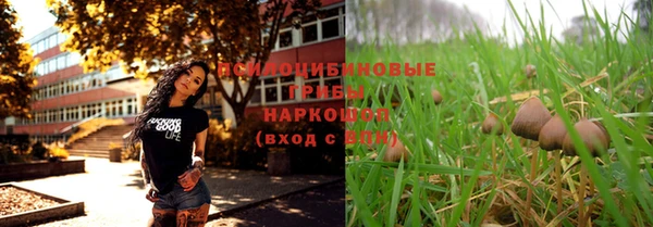 гашик Зерноград
