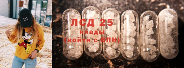СК Зеленокумск
