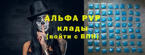 СК Зеленокумск