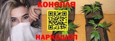 молекула духа Кимры