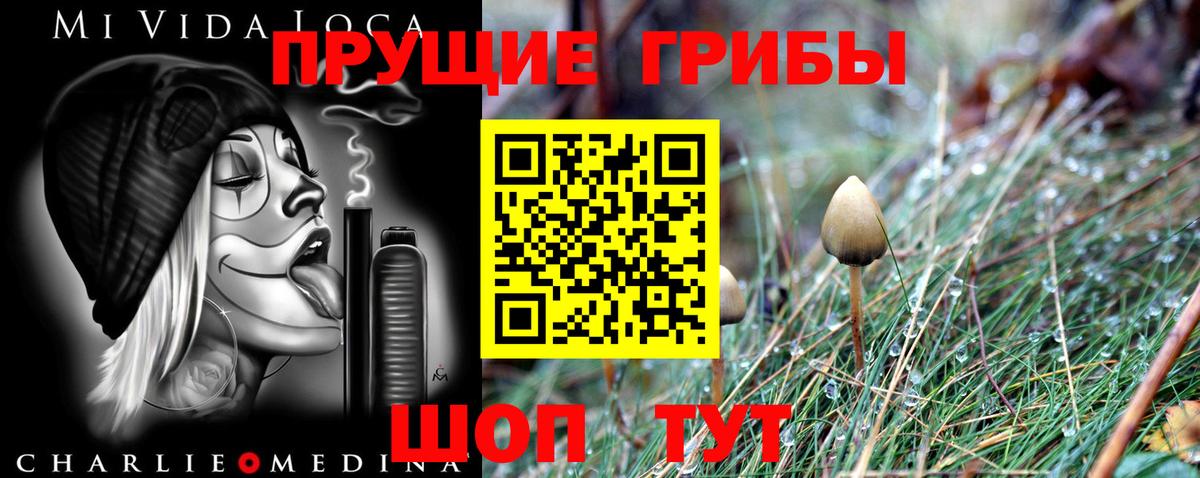 Галлюциногенные грибы прущие грибы  Вход с VPN  Галлюциногенные грибы мухоморы  Саянск 