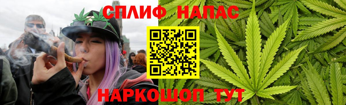 Саянск  Бошки марихуана White Widow  Каннабис марихуана  Вход с VPN  Бошки марихуана план 